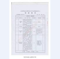 防盗安全门检验报告-1