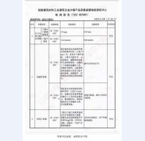 四防门检验报告